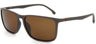 Päikeseprillid Label B1282 Polarized hind ja info | Meeste päikeseprillid | kaup24.ee