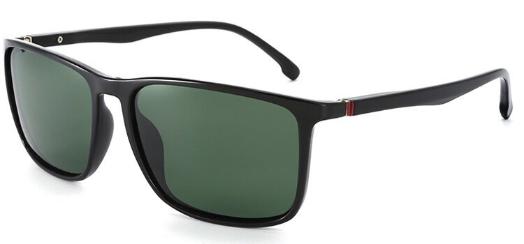 Päikeseprillid Label P1282 Polarized hind ja info | Meeste päikeseprillid | kaup24.ee