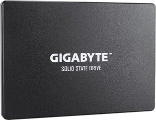 Gigabyte GP-GSTFS31100TNTD цена и информация | Внутренние жёсткие диски (HDD, SSD, Hybrid) | kaup24.ee