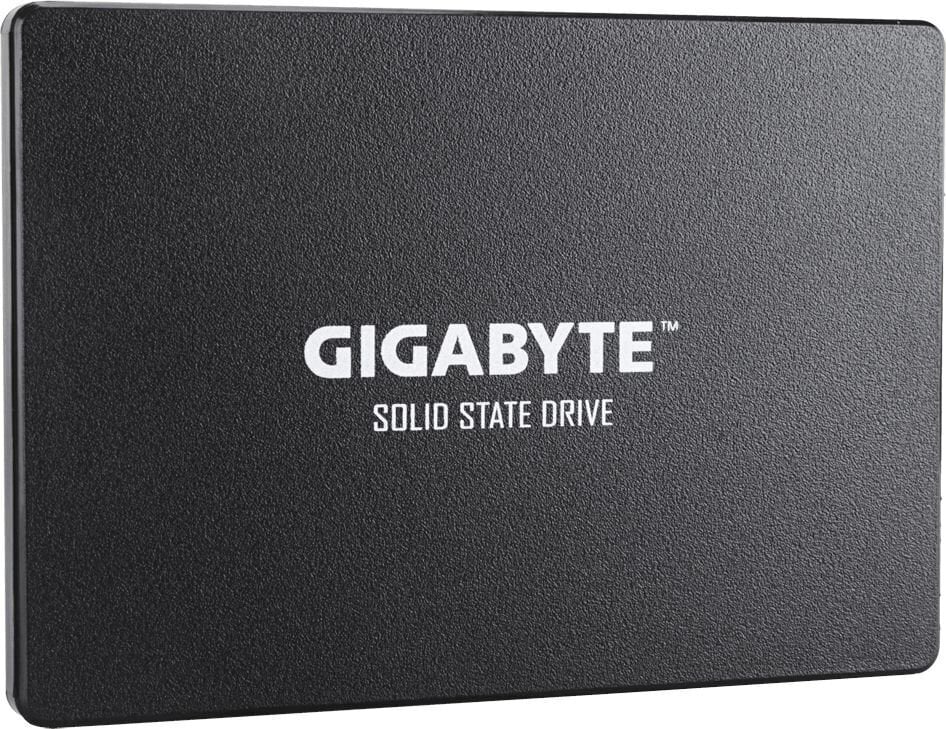 Gigabyte GP-GSTFS31100TNTD цена и информация | Sisemised kõvakettad (HDD, SSD, Hybrid) | kaup24.ee