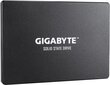 Gigabyte GP-GSTFS31100TNTD цена и информация | Sisemised kõvakettad (HDD, SSD, Hybrid) | kaup24.ee