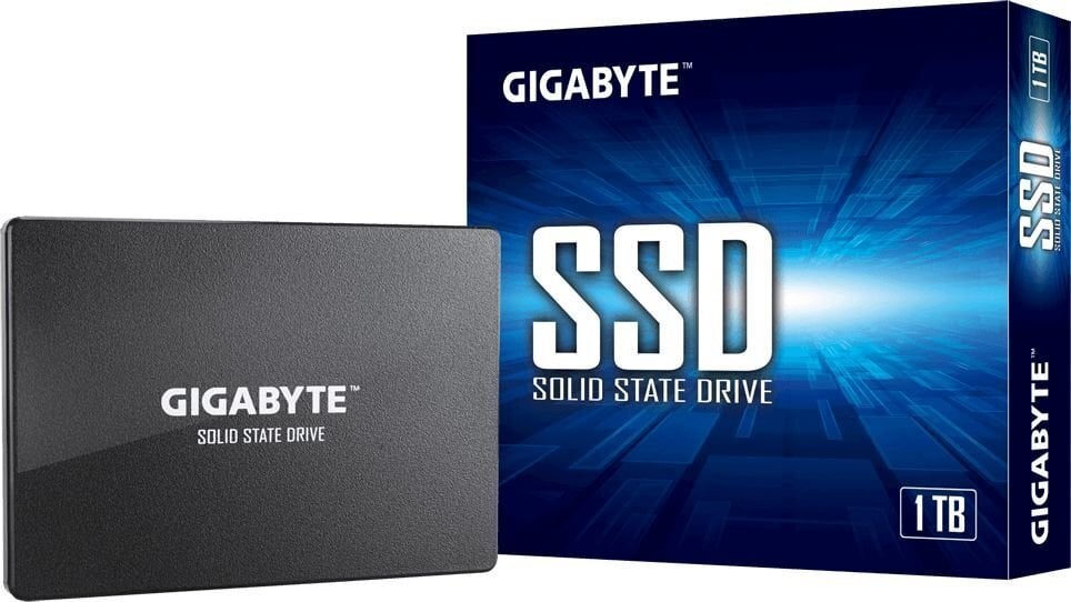 Gigabyte GP-GSTFS31100TNTD цена и информация | Sisemised kõvakettad (HDD, SSD, Hybrid) | kaup24.ee