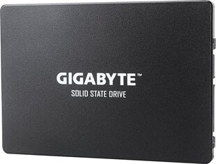 Gigabyte GP-GSTFS31100TNTD цена и информация | Внутренние жёсткие диски (HDD, SSD, Hybrid) | kaup24.ee