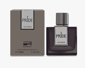 Парфюмированная вода Afnan Pride Intense EDP для мужчин, 100 мл цена и информация | Мужские духи | kaup24.ee