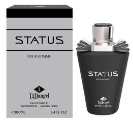 Parfüümvesi Afnan Status homme EDP meestele, 100 ml hind ja info | Meeste parfüümid | kaup24.ee