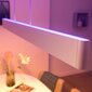 Philips Hue Ensis nutikas valge rippvalgusti 2x39W цена и информация | Laelambid | kaup24.ee