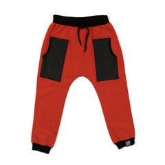 Спортивные штаны для мальчиков Victory цена и информация | Шорты для мальчиков | kaup24.ee