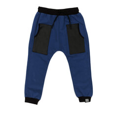 Спортивные штаны для мальчиков Victory цена и информация | Шорты для мальчиков | kaup24.ee