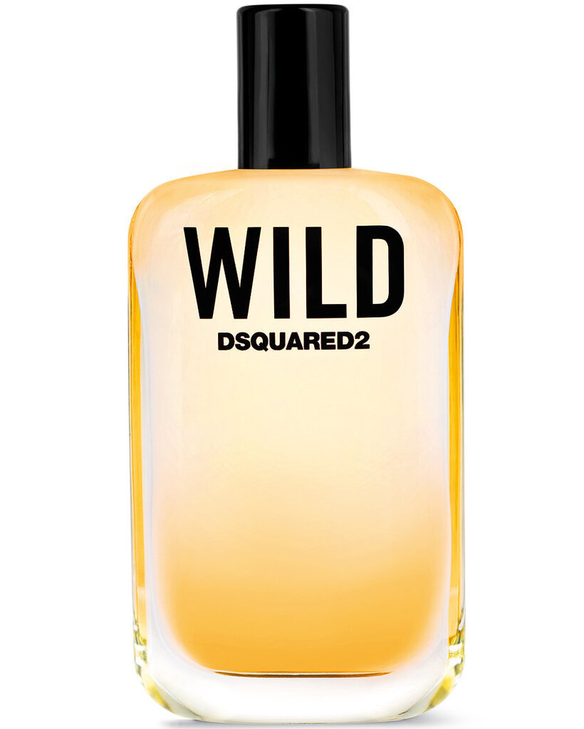 Tualettvesi Dsquared² Wild EDT meestele 30 ml цена и информация | Meeste parfüümid | kaup24.ee