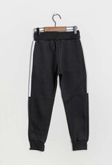 Спортивные штаны для мальчиков Squared&Cubed, черные цена и информация | Шорты для мальчиков | kaup24.ee