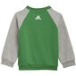 Spordikostüüm Adidas I Bl Fl Jog Grey Green hind ja info | Komplektid poistele | kaup24.ee