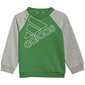 Spordikostüüm Adidas I Bl Fl Jog Grey Green hind ja info | Komplektid poistele | kaup24.ee