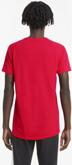 T-särk Puma Evostripe Tee Hig Red цена и информация | Мужская спортивная одежда | kaup24.ee