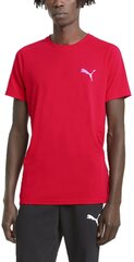 T-särk Puma Evostripe Tee Hig Red hind ja info | Meeste spordiriided | kaup24.ee