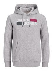 Jack & Jones meeste dressipluus 12152840*03, hall hind ja info | Meeste pusad | kaup24.ee