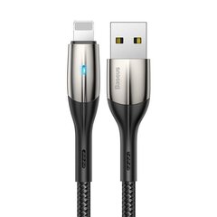 Baseus, USB/Lighthing, 1 м цена и информация | Кабели и провода | kaup24.ee