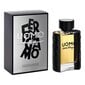 Meeste parfüüm Sf Uomo Salvatore Ferragamo EDT: Maht - 100 ml hind ja info | Meeste parfüümid | kaup24.ee