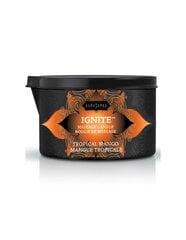 Massaažikünal Kamasutra Ignite - väeosa Mango (170ml) hind ja info | Massaažiõlid | kaup24.ee