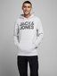 Jack&Jones meeste dressipluus 12152840*01, hall hind ja info | Meeste pusad | kaup24.ee