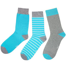 Мужские носки (3 пары в упаковке) цена и информация | Мужские носки | kaup24.ee