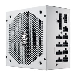 Cooler Master V 750 Gold V2 hind ja info | Toiteplokid (PSU) | kaup24.ee