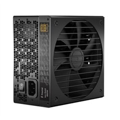 Fractal Design FD-P-IA2G-550-EU цена и информация | Материнские платы (PSU) | kaup24.ee