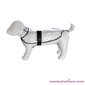 425455 TRIXIE Dog Raincoat "Tarbes" XS 30 cm PVC Transparent цена и информация | Riided koertele | kaup24.ee