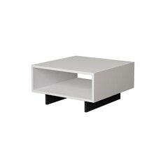 Кофейный столик Kalune Design 855, белый/серый цена и информация | Журнальные столики | kaup24.ee