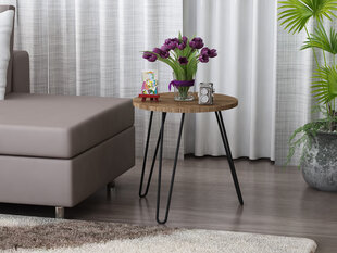 Кофейный столик Kalune Design 756(I), темно-коричневый цена и информация | Журнальные столики | kaup24.ee