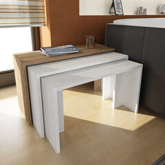 Набор из 3-х журнальных столиков Kalune Design 756, белый/коричневый цена и информация | Журнальные столики | kaup24.ee
