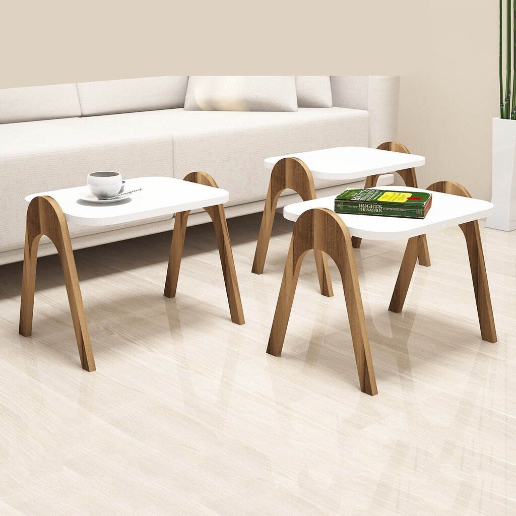 3-osaline kohvilaua komplekt Kalune Design 845, valge/pruun hind ja info | Diivanilauad | kaup24.ee