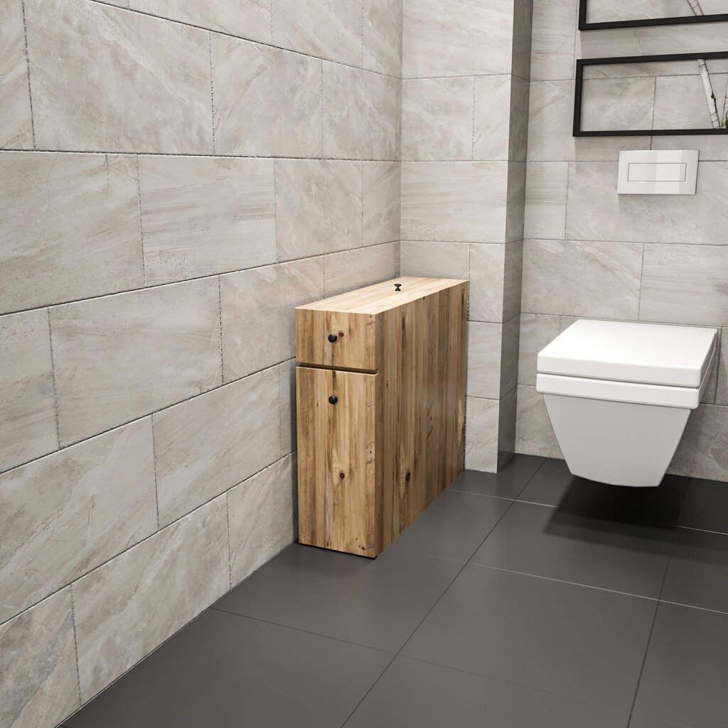 Eraldiseisev vannitoakapp Kalune Design 854, helepruun цена и информация | Vannitoakapid | kaup24.ee