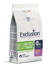 Exclusion Hypoallergenic Monoprotein Intestinal kõigi tõugude kutsikatele sealiha ja riisiga, 2kg цена и информация | Сухой корм для собак | kaup24.ee