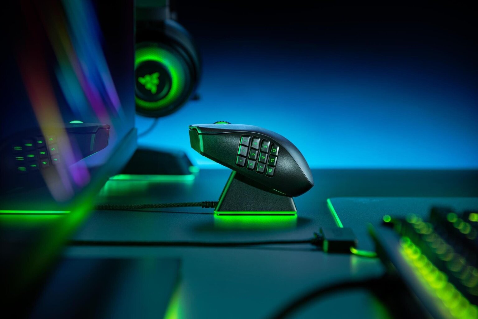 Razer Naga Pro, must hind ja info | Hiired | kaup24.ee