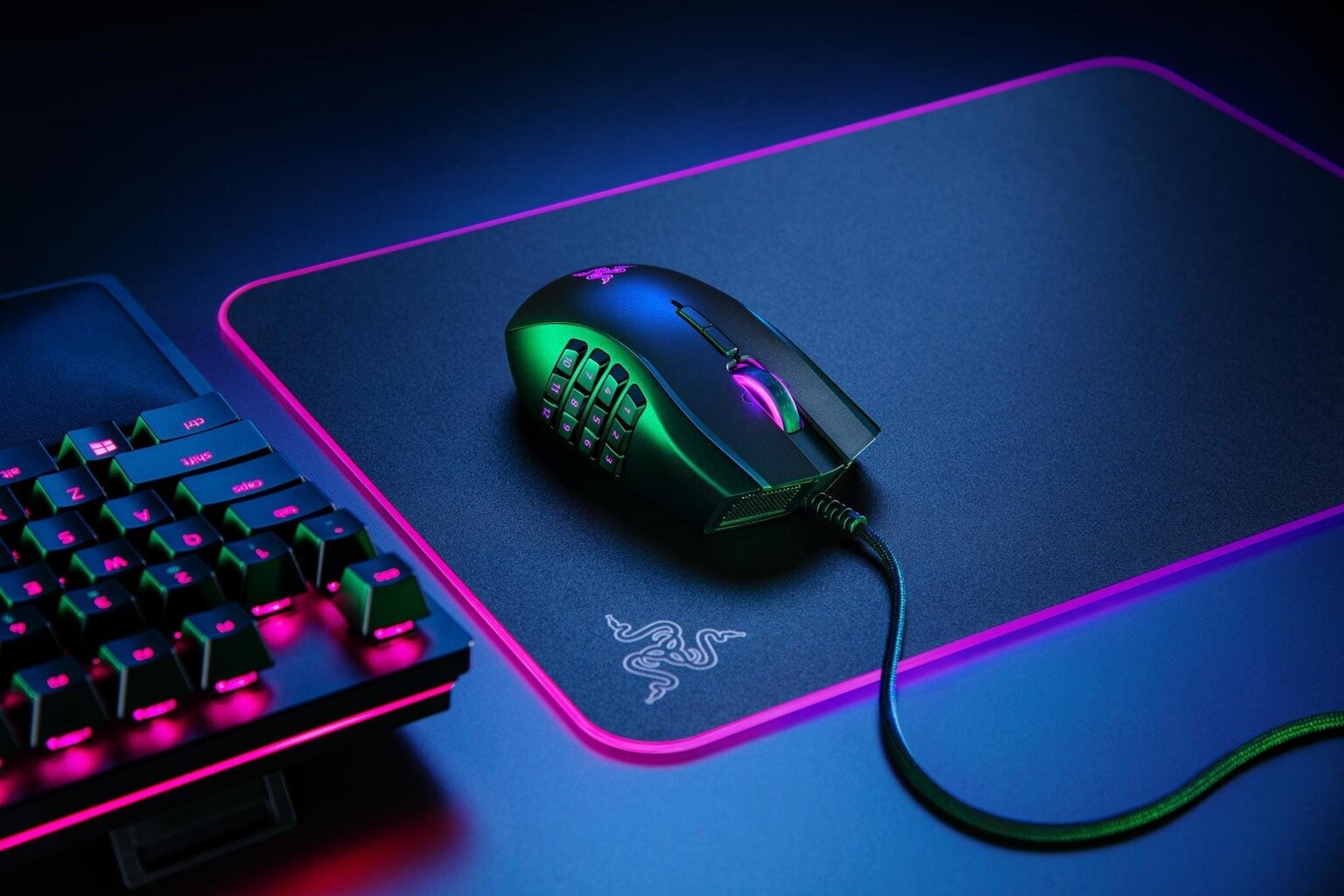 Razer Naga Pro, must hind ja info | Hiired | kaup24.ee