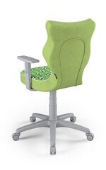 Детское офисное кресло Entelo Duo ST29 5, многоцветное/серое цена и информация | Офисные кресла | kaup24.ee