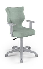 Офисное кресло Entelo Duo DC20 6, зеленое/серое цена и информация | Офисные кресла | kaup24.ee