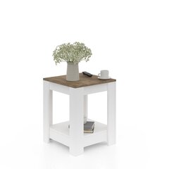 Кофейный столик Kalune Design 598, белый/коричневый цена и информация | Журнальные столики | kaup24.ee