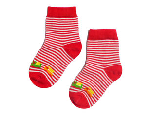 Детские носки (5 пар в упаковке) цена и информация | Колготки, носочки для новорожденных | kaup24.ee