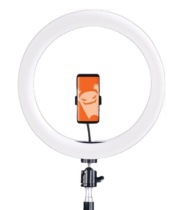 Rõngaslamp GadgetMonster GDM-1023 hind ja info | Fotovalgustuse seadmed | kaup24.ee