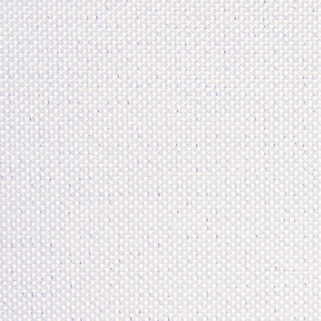 Kardin Alena, valge, 140 x 250 cm hind ja info | Kardinad | kaup24.ee