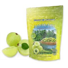 Kuivatatud India karusmarjad Everest Ayurveda Amalaki, 100 g hind ja info | Pähklid, seemned, kuivatatud puuviljad | kaup24.ee