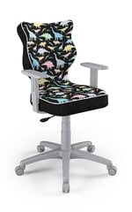 Детское офисное кресло Entelo Duo ST30 5, многоцветное/серое цена и информация | Офисные кресла | kaup24.ee