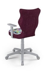 Детское офисное кресло Entelo Duo ST32 5, многоцветное/серое цена и информация | Офисные кресла | kaup24.ee