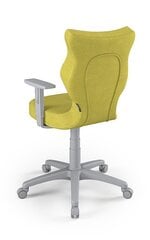 Офисное кресло Entelo Duo DC19 6, зеленое/серое цена и информация | Офисные кресла | kaup24.ee