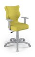 Офисное кресло Entelo Duo DC19 6, зеленое/серое