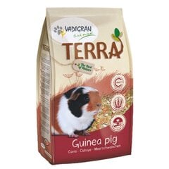 Vadigran täissööt merisigadele Terra 1kg цена и информация | Корм для грызунов | kaup24.ee