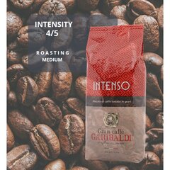 Kohvioad Gran Caffe Garibaldi - Intenso, 1 kg цена и информация | Кофе, какао | kaup24.ee