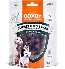 Teraviljavaba maius koerale Boxby Superfood Lamb, lambalihaga, 120 g hind ja info | Maiustused koertele | kaup24.ee