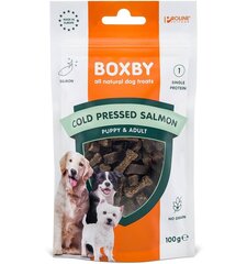 Maius koertele Boxby Cold Pressed teraviljavaba naturaalne, lõhega, 100 g hind ja info | Maiustused koertele | kaup24.ee